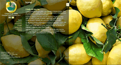 Desktop Screenshot of limonecostadamalfiigp.com