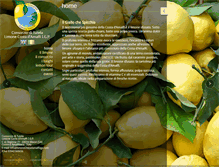 Tablet Screenshot of limonecostadamalfiigp.com